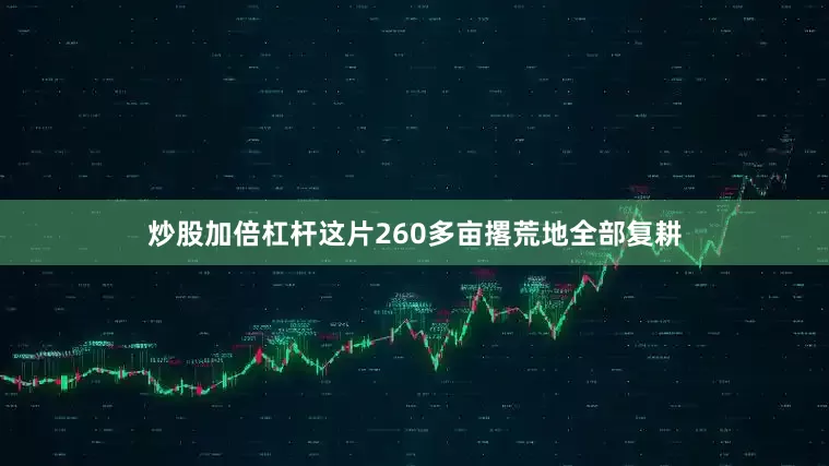 炒股加倍杠杆这片260多亩撂荒地全部复耕
